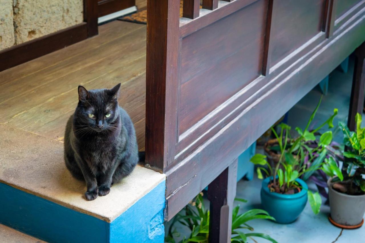 Casa Luna Agaete  Kültér fotó